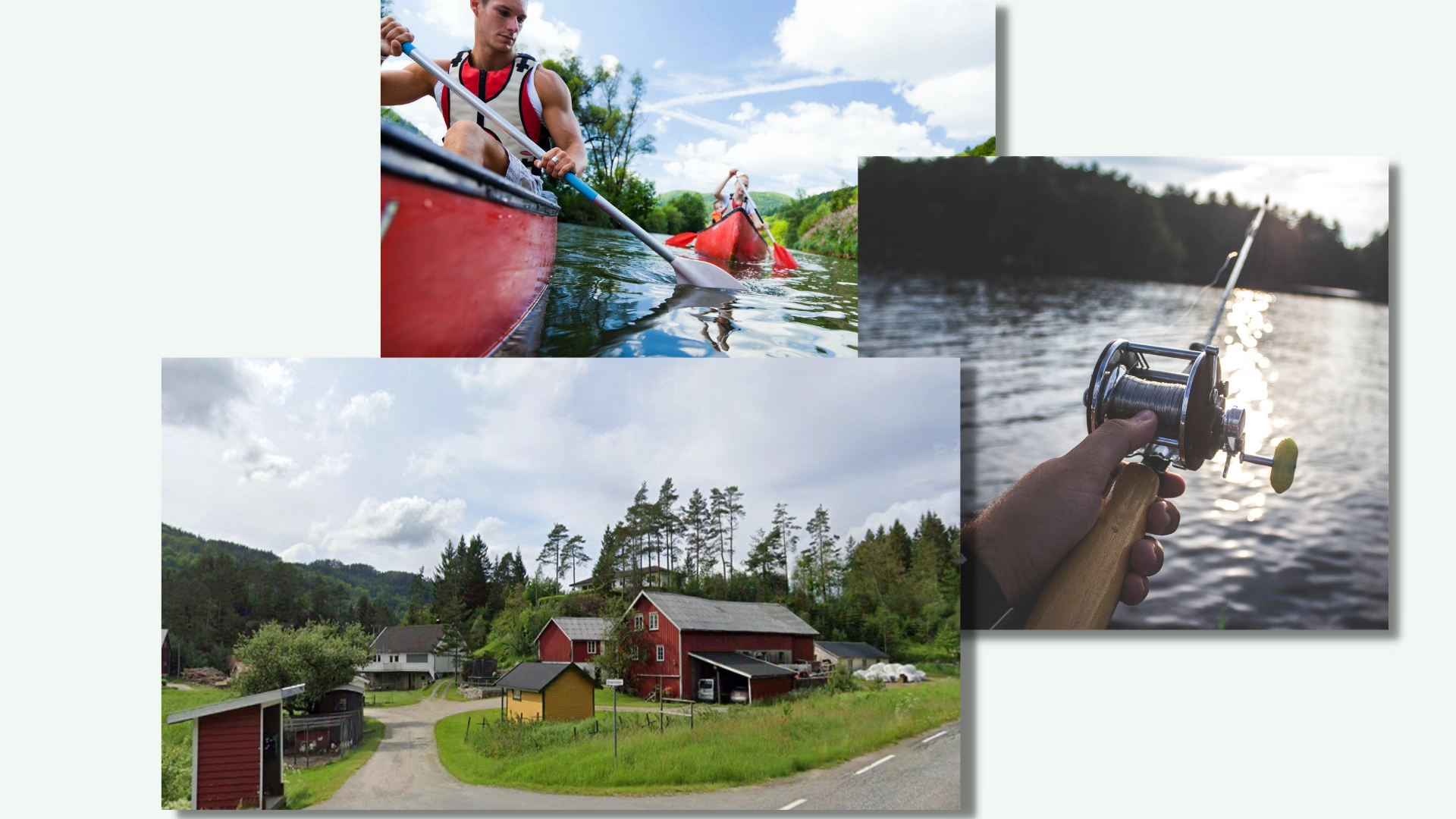 Poteter, fiske og unge kyr
